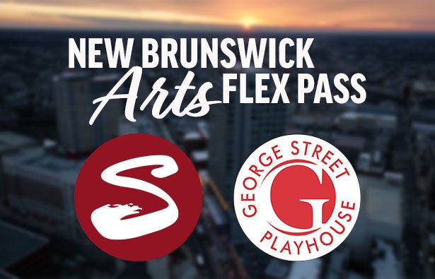 NB-Arts-Flex-Pass-615x395v2 (1).jpg