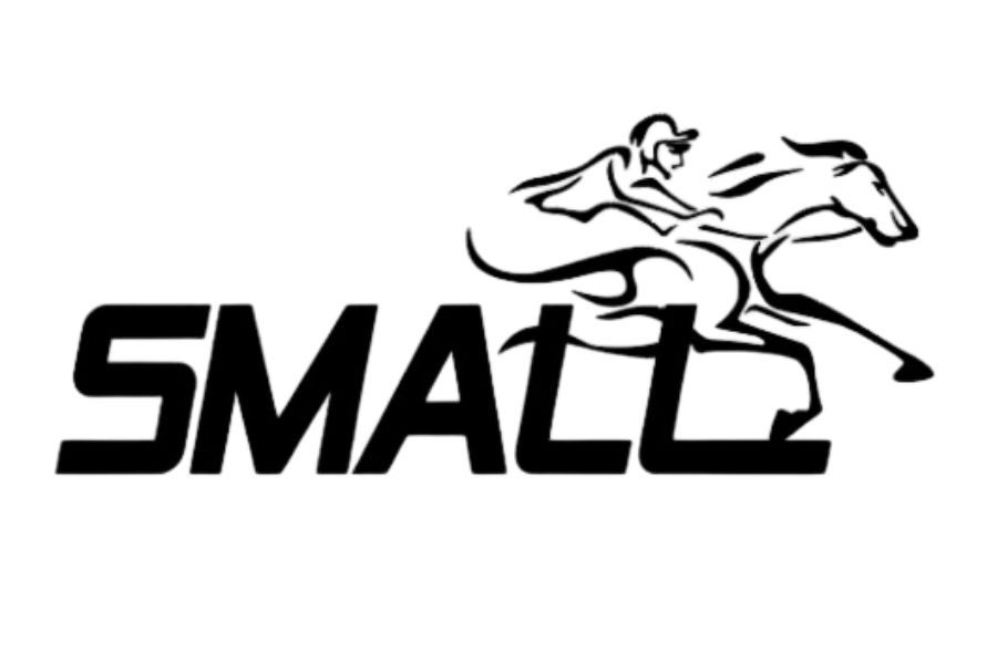 Más información sobre SMALL